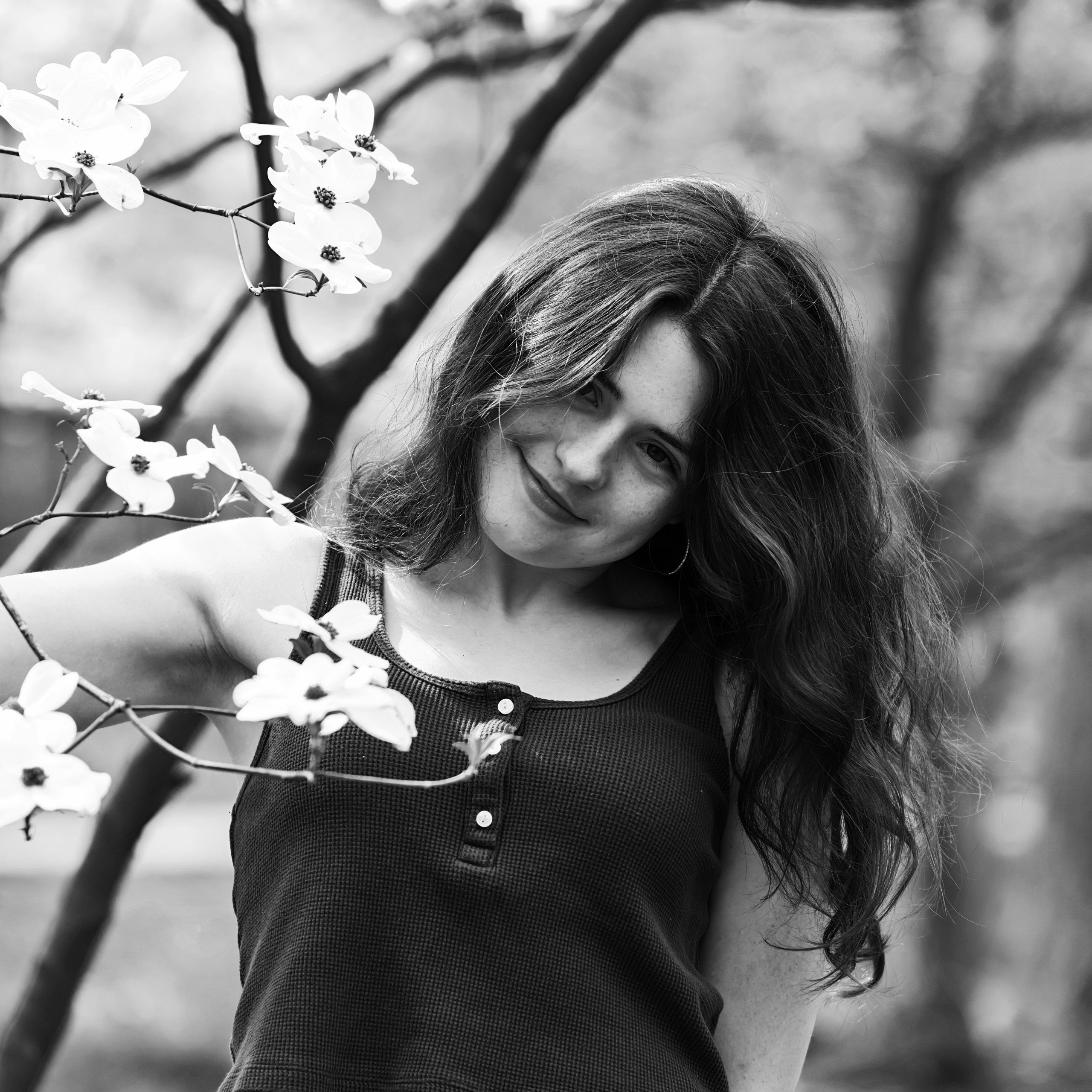 Capsized Tribune Logo, an upside-down sail boat below waves